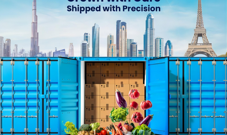 china freight forwarder uk ddp door to door